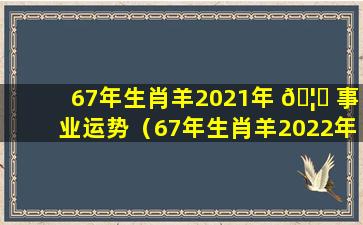 67年生肖羊2021年 🦊 事业运势（67年生肖羊2022年爱情事业运势）